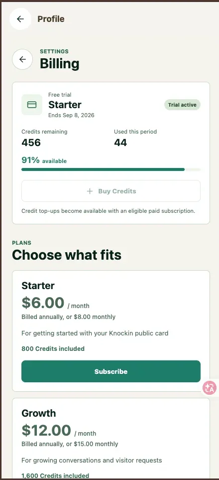 Keep an eye on Credits if your card is live — the page stays up, but the conversation stops when they run out